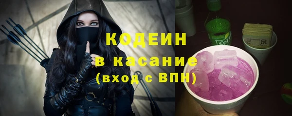 стаф Арсеньев