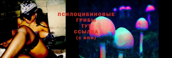 ГАЛЛЮЦИНОГЕННЫЕ ГРИБЫ Аркадак
