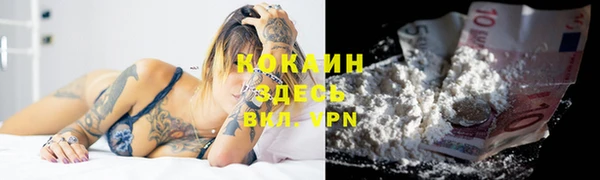 ГАЛЛЮЦИНОГЕННЫЕ ГРИБЫ Аркадак