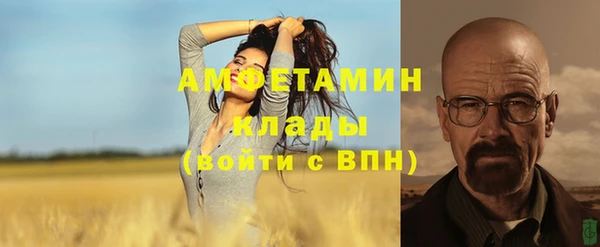 ГАЛЛЮЦИНОГЕННЫЕ ГРИБЫ Аркадак