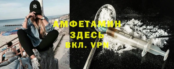 ГАЛЛЮЦИНОГЕННЫЕ ГРИБЫ Аркадак