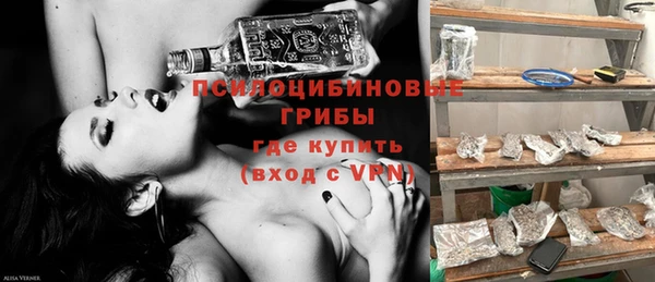 apvp Армянск